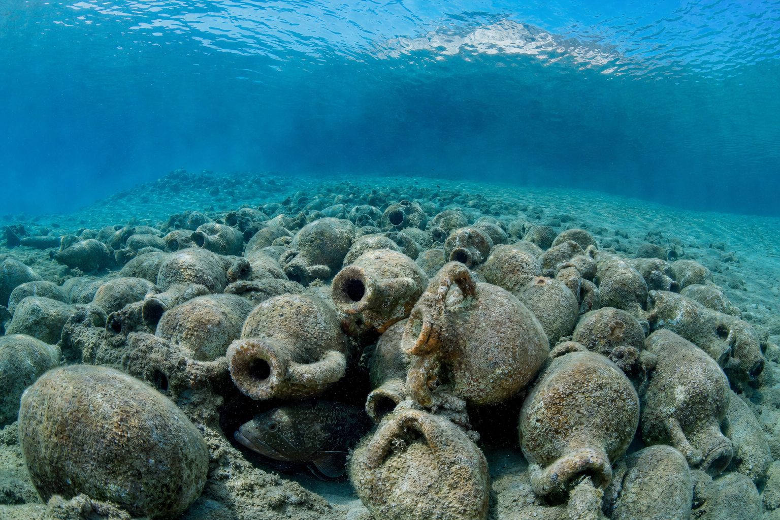 Underwater view of a sunlit mound of ancient clay amphorae lying on a gently sloping seabed in clear turquoise Aegean water, a grouper sheltering in the foreground pottery, the limestone shore of a small islet visible through the surface in the distance, no people.