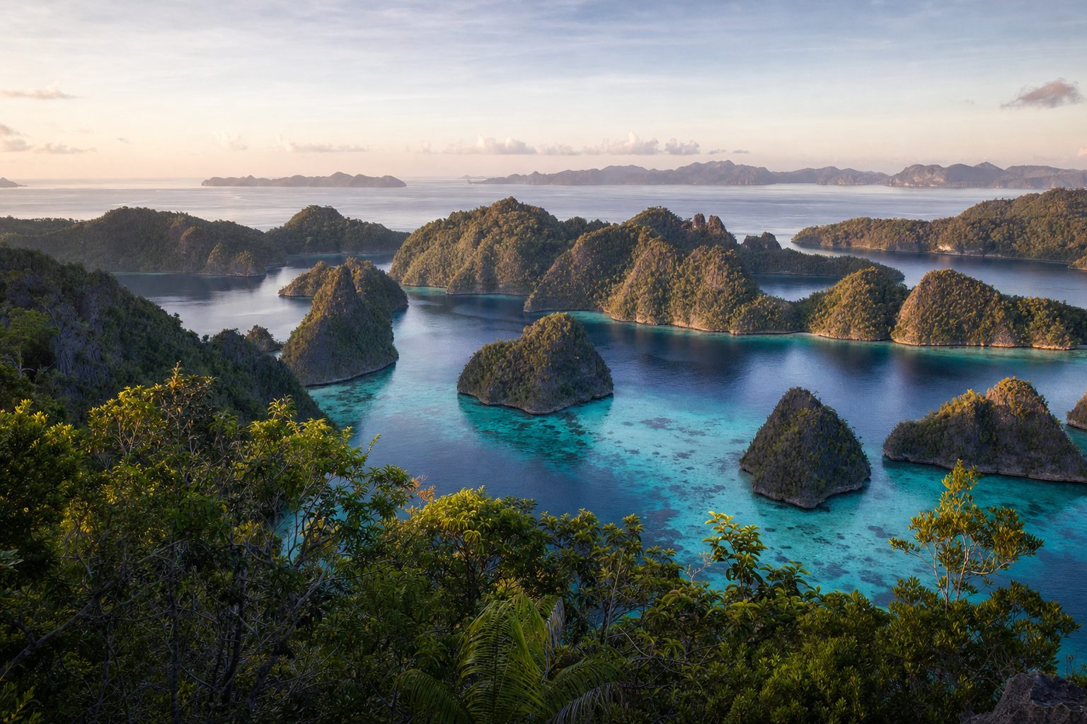 Forest-topped limestone karst islets rising from a still turquoise lagoon at Piaynemo, Raja Ampat, seen from a high viewpoint in soft morning light, with a coral reef shelving into deep blue water in the midground and hazy larger islands on the horizon.