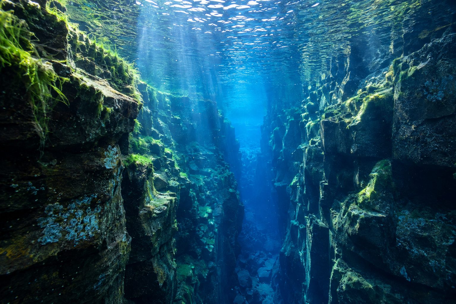 Underwater view inside the Silfra fissure: sheer, layered volcanic rock walls fringed with bright green algae rise on both sides of a narrow canyon, the water is perfectly clear and deep blue, and shafts of sunlight fall from the rippled silver surface into the indigo depths below.