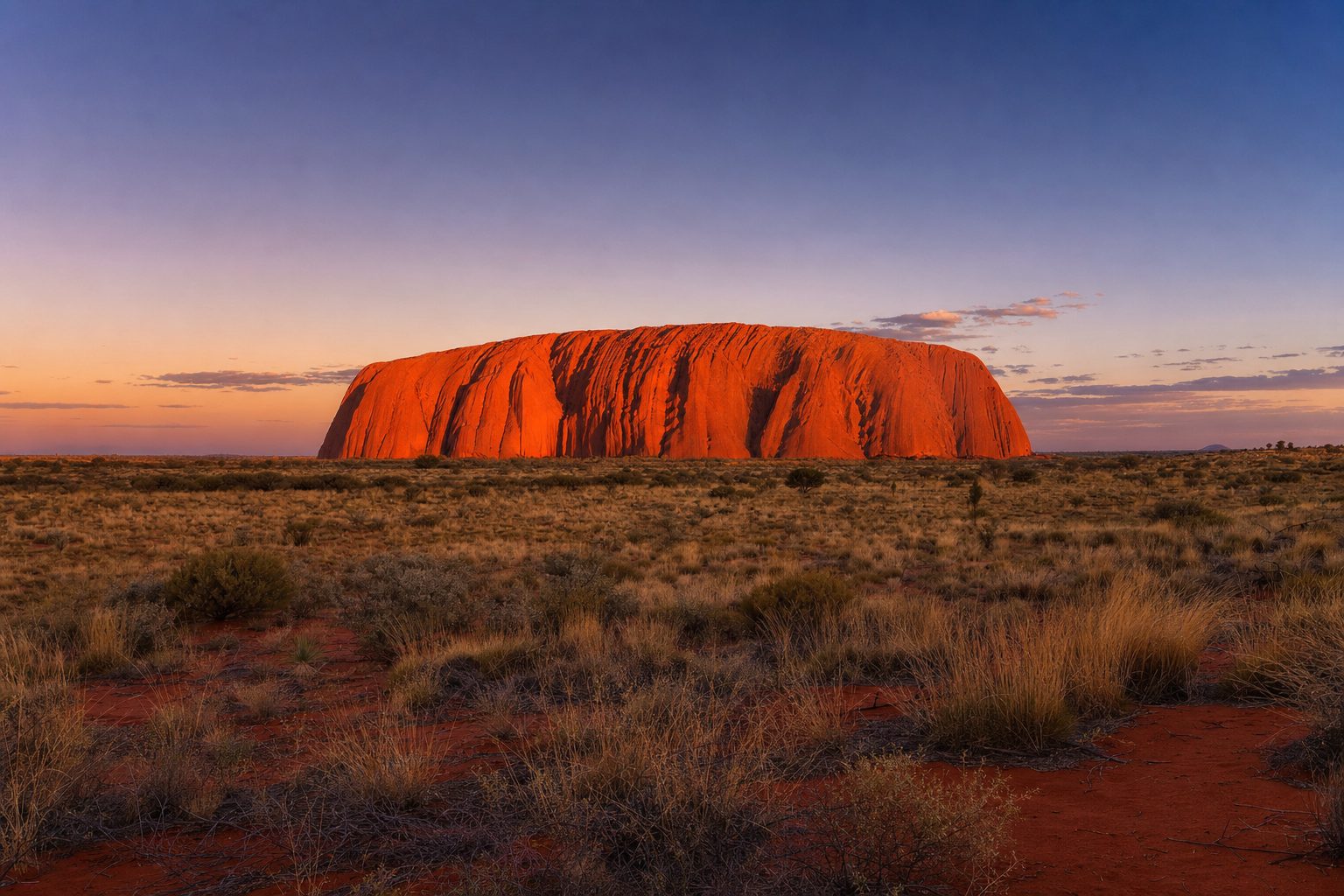 Red Uluṟu rises from spinifex and pale desert grass in the foreground, with the broad sandstone face in the midground and a violet pre-dawn sky fading to gold behind, no people.